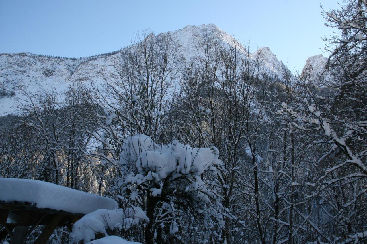 Dolomiti House Hotel Cibiana Екстериор снимка